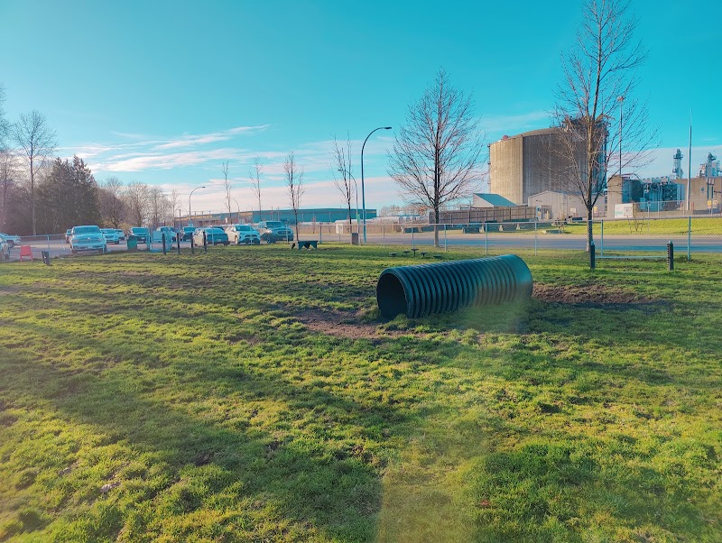 Dog agility yard and large off leash area dog park in Delta, British Columbia
