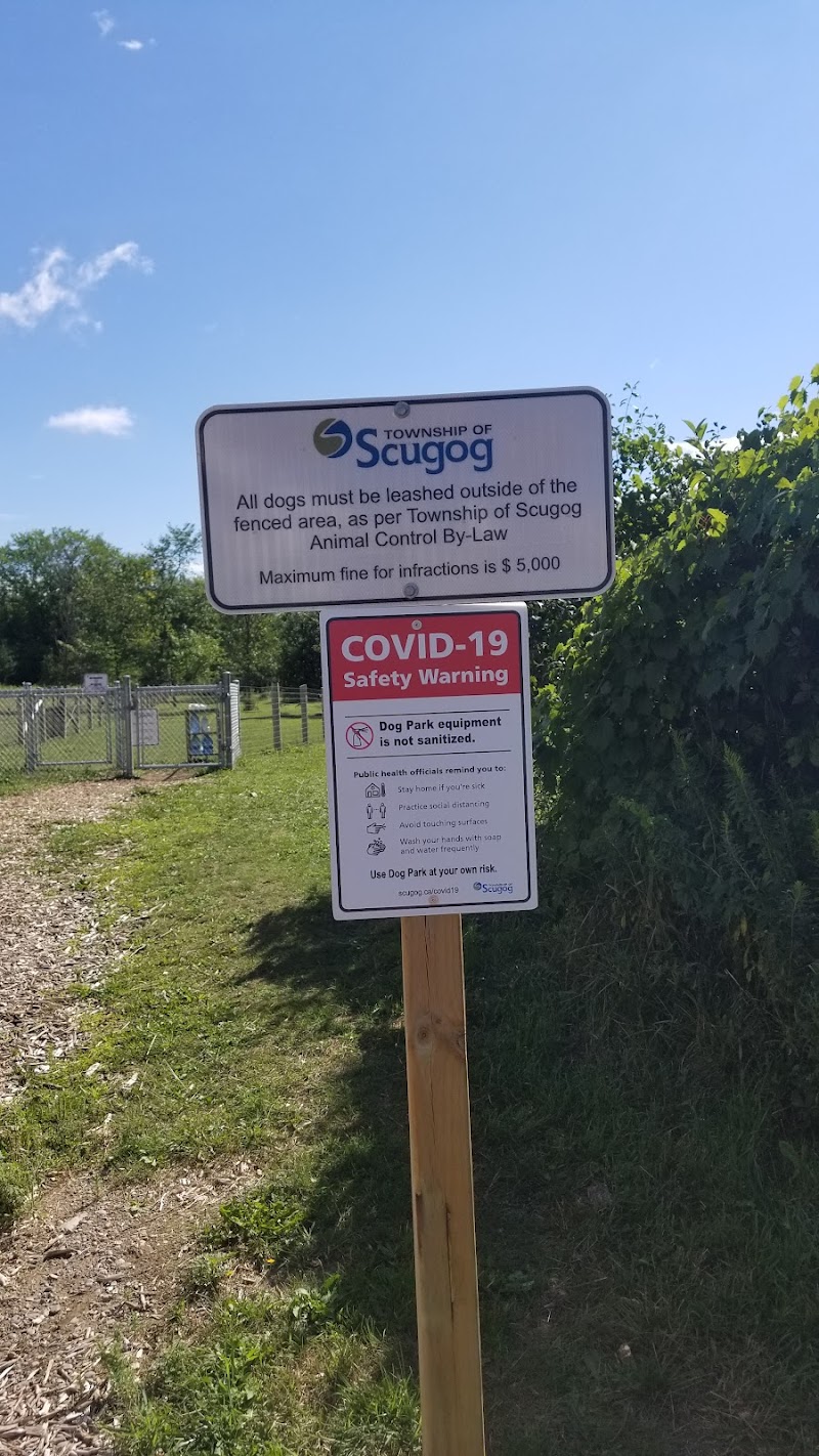 Port Perry Off Leash Dog Park dog park in Port Perry, Ontario