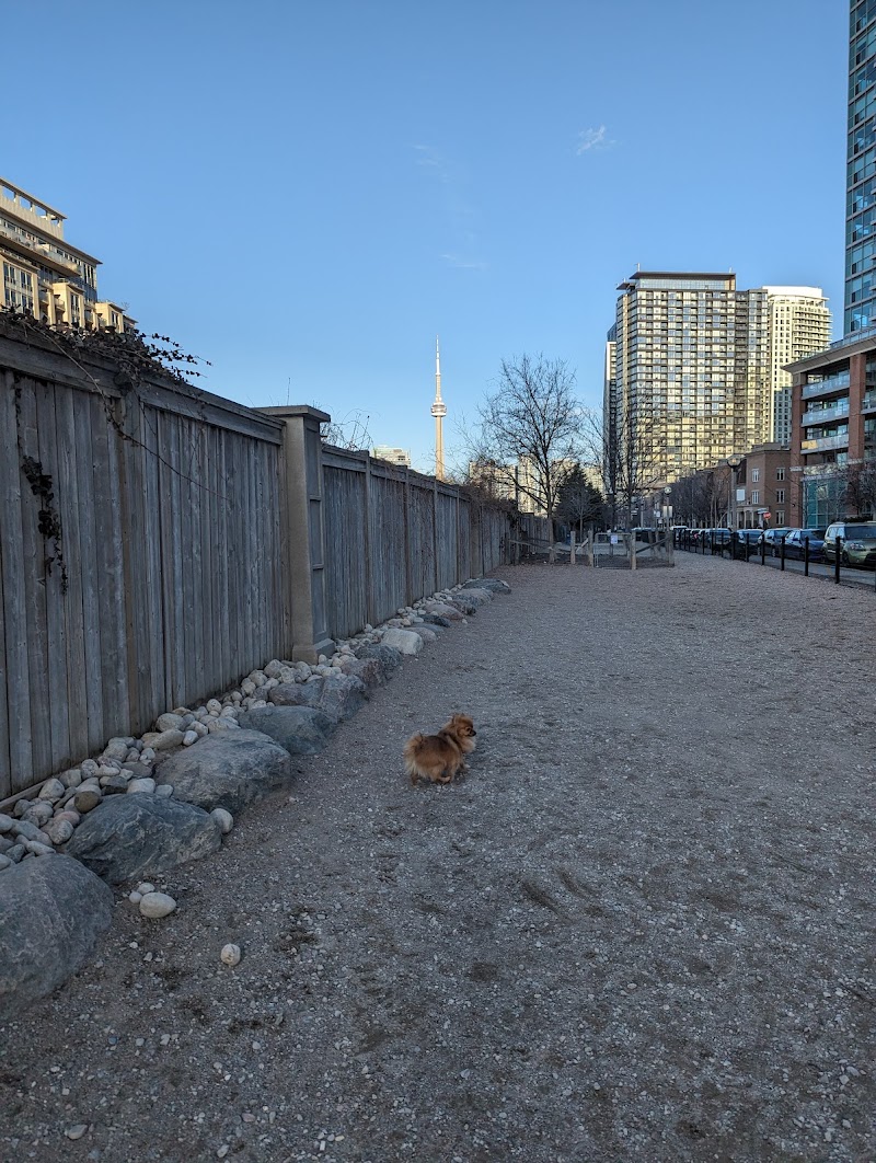 Liberty Village Dog Park dog park in Toronto, Ontario