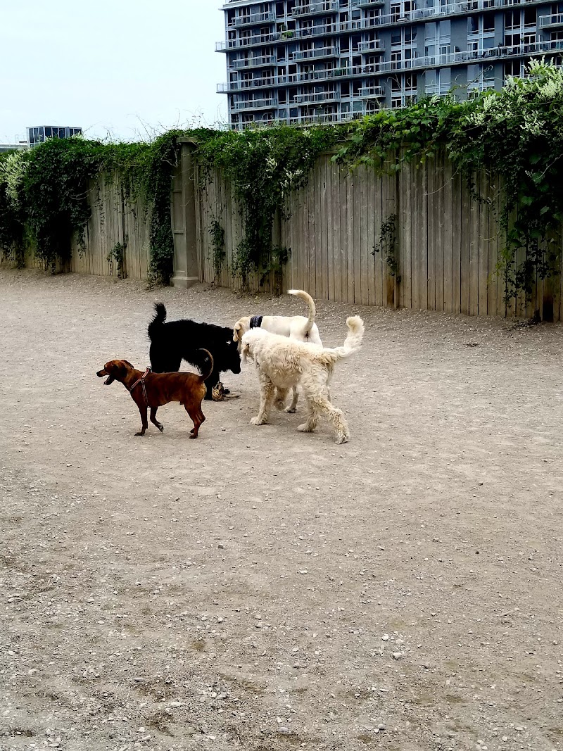 Liberty Village Dog Park dog park in Toronto, Ontario