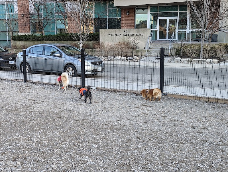 Liberty Village Dog Park dog park in Toronto, Ontario