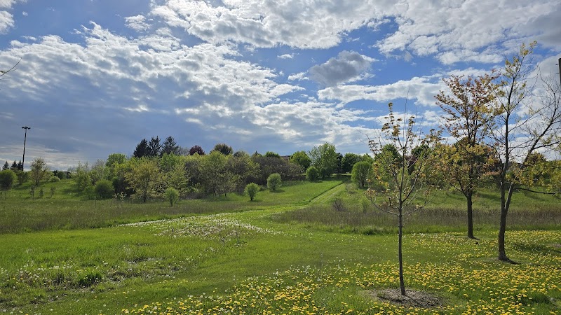 Bramalea Ltd Community Dog Park dog park in Brampton, Ontario