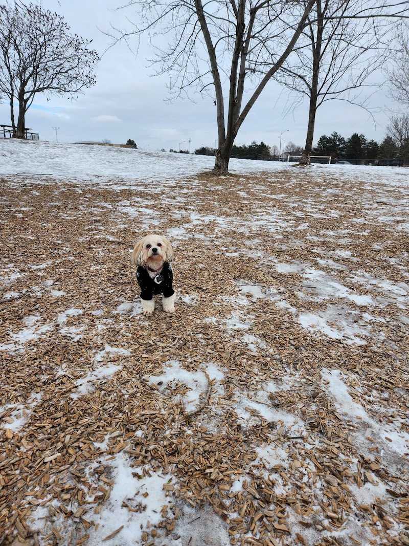 Bramalea Ltd Community Dog Park dog park in Brampton, Ontario