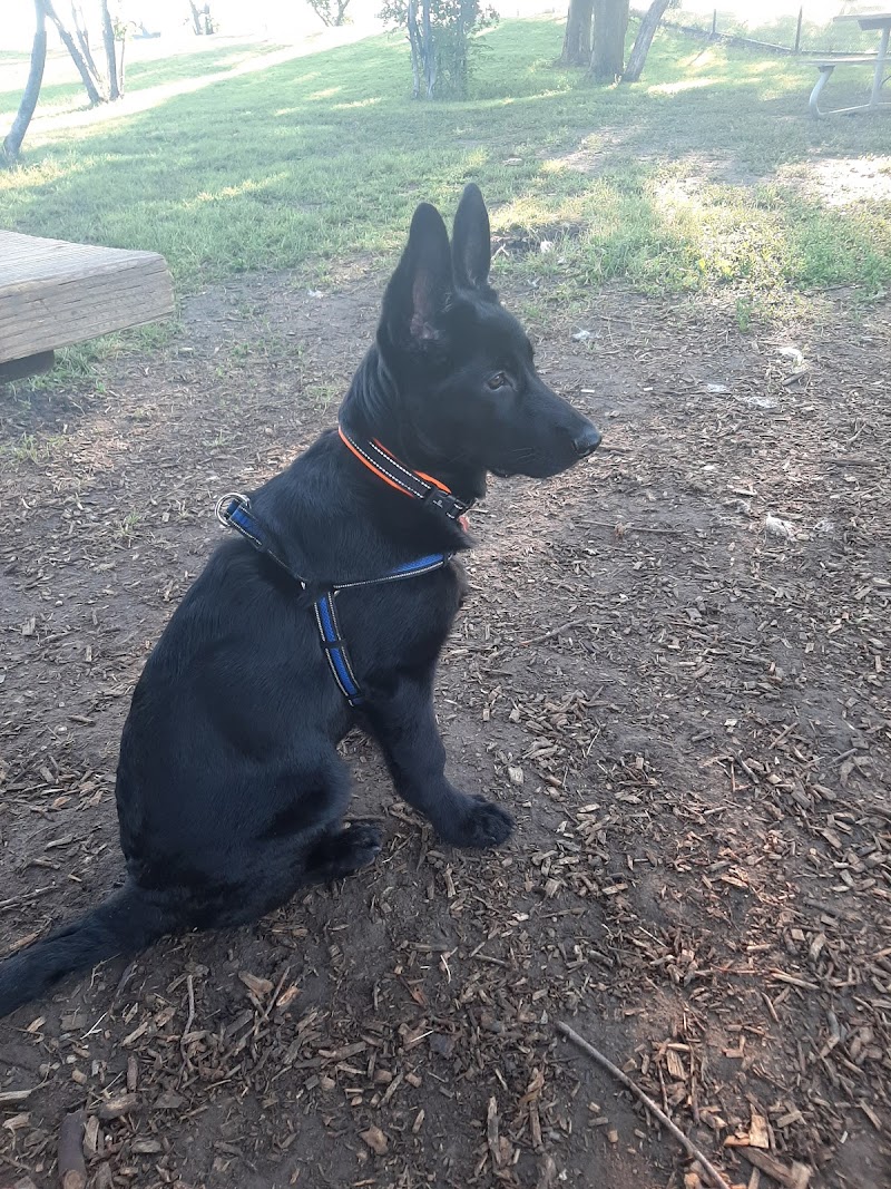 Bramalea Ltd Community Dog Park dog park in Brampton, Ontario