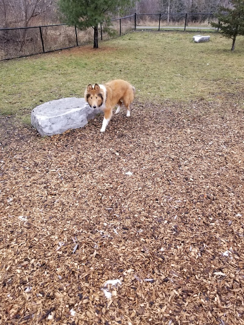 Duggan Park Off-Leash Area dog park in Brampton, Ontario