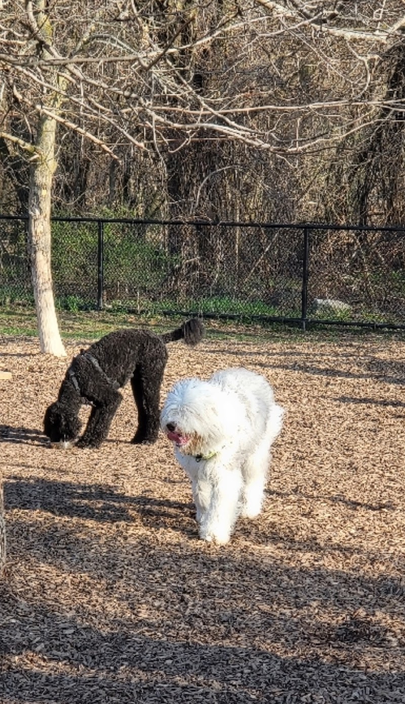 Duggan Park Off-Leash Area dog park in Brampton, Ontario