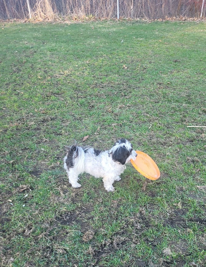 Washago Dog Park dog park in Washago, Ontario