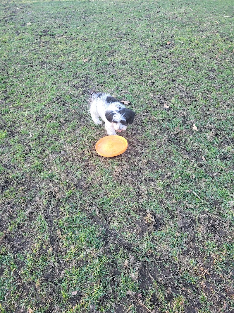 Washago Dog Park dog park in Washago, Ontario
