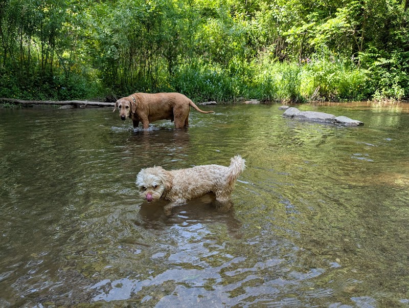 Leash-Free Halton Hills dog park in Halton Hills, Ontario