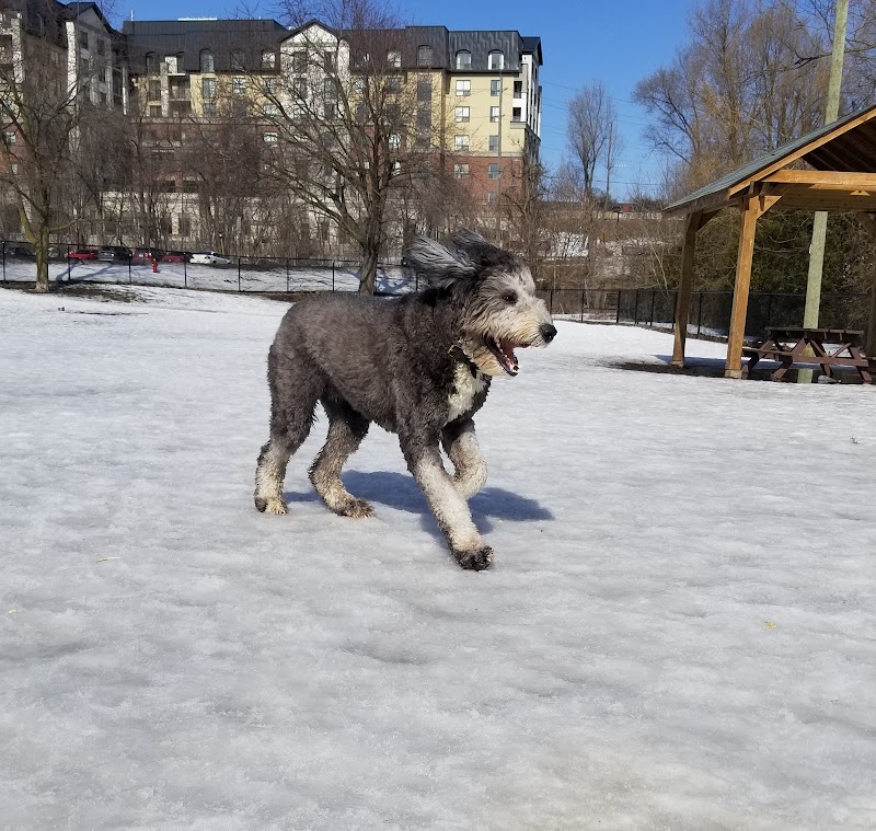 Leash-Free Halton Hills dog park in Halton Hills, Ontario