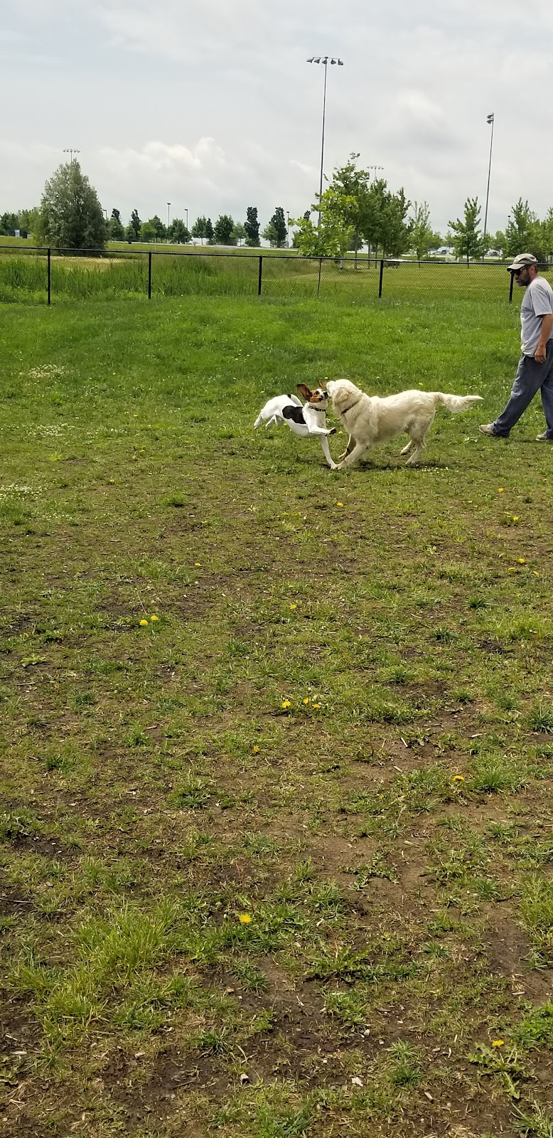 Leash free halton hills trafalgar sports plex dog park in Halton Hills, Ontario