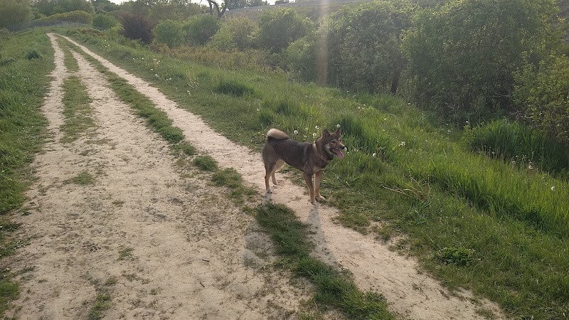 Corporal Nathan Cirillo Free Run Area dog park in Ancaster, Ontario