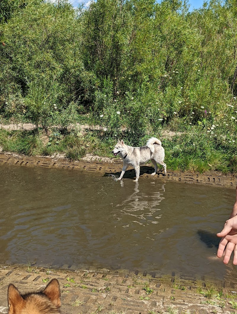 Corporal Nathan Cirillo Free Run Area dog park in Ancaster, Ontario