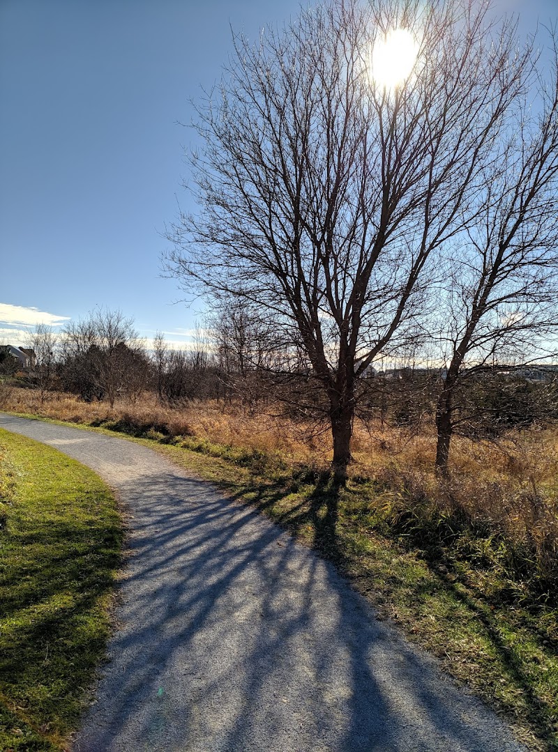 Canine Commons Off Leash Dog Park dog park in Aurora, Ontario