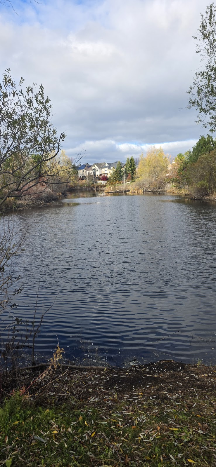 Canine Commons Off Leash Dog Park dog park in Aurora, Ontario