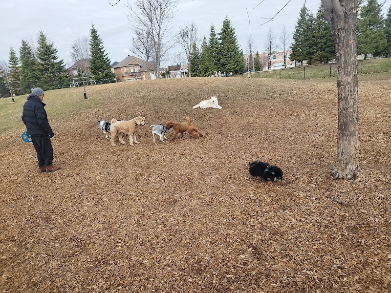 Matthew Park Off-Leash Dog Park dog park in Woodbridge, Ontario