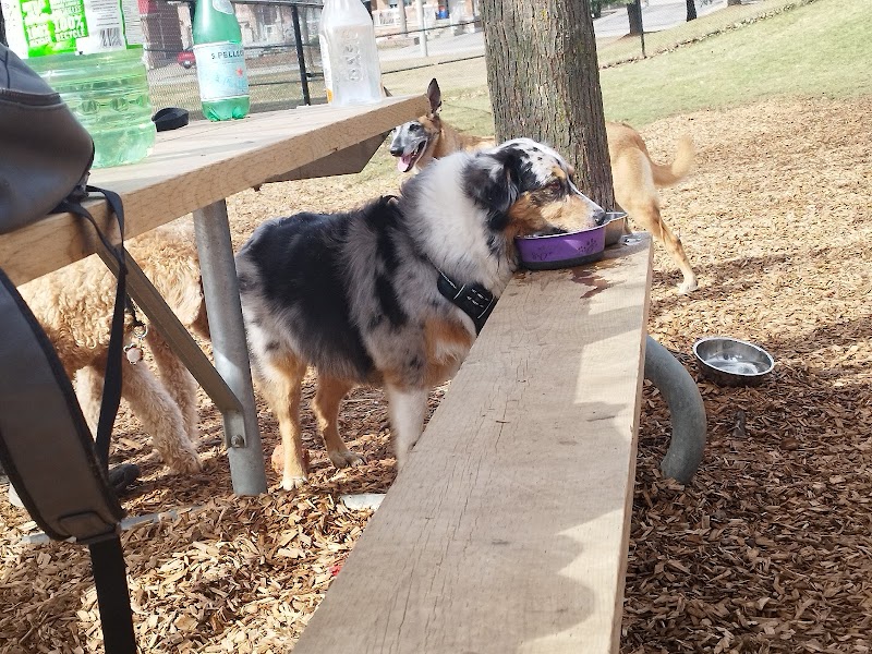 Matthew Park Off-Leash Dog Park dog park in Woodbridge, Ontario