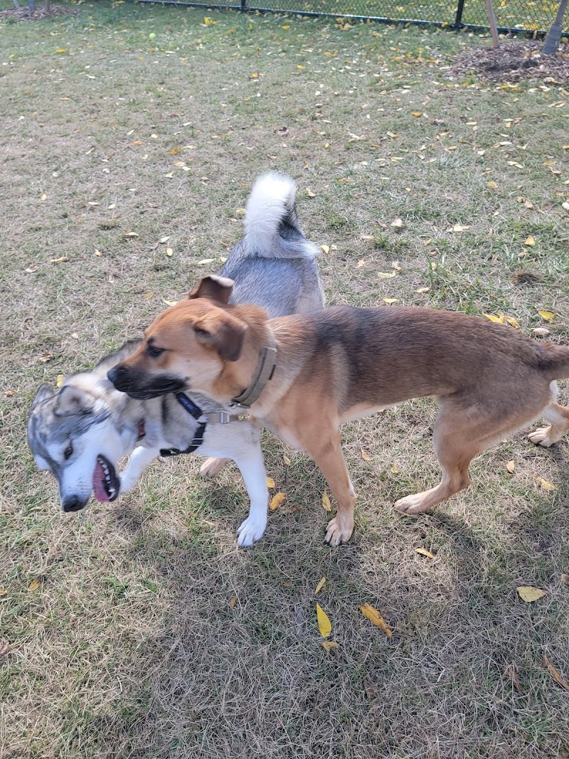 Legion Park Off Leash Dog Park dog park in Woodbridge, Ontario