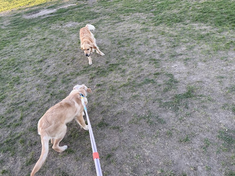 Giovanni Caboto Park Off Leash Dog Park dog park in Vaughan, Ontario