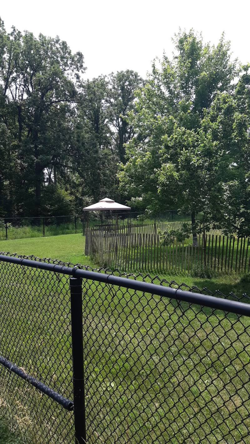 Leash Free Milton dog park in Milton, Ontario