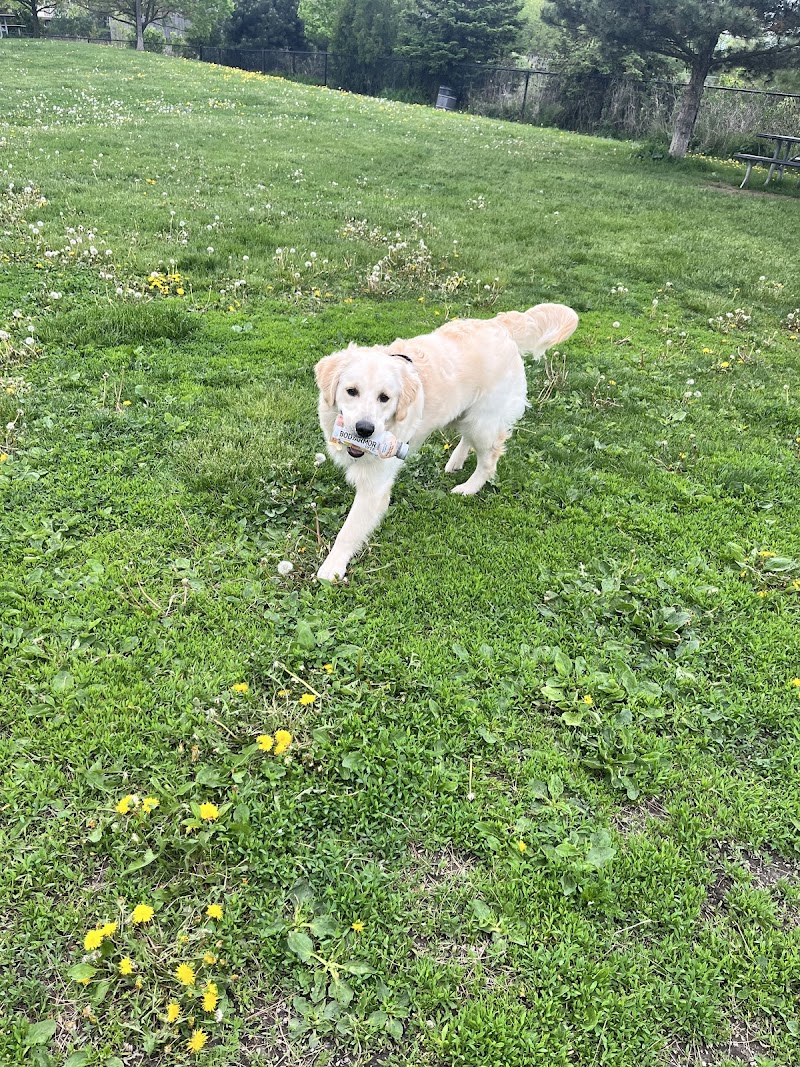 Leash Free Milton dog park in Milton, Ontario