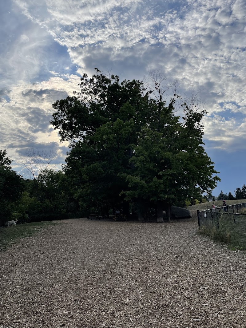 Quenippenon Meadows Community Park dog park in Mississauga, Ontario