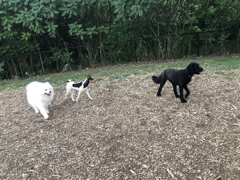 Quenippenon Meadows Community Park dog park in Mississauga, Ontario