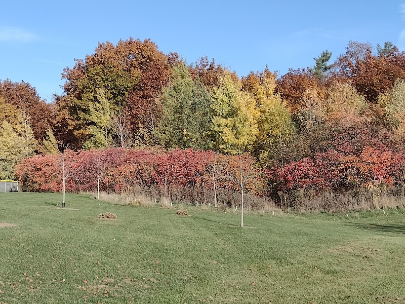 Quenippenon Meadows Community Park dog park in Mississauga, Ontario