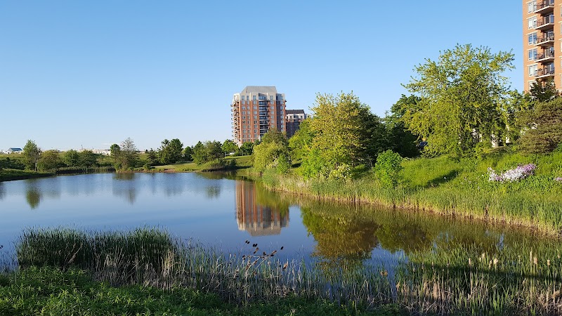 Oak Park Dog Park dog park in Oakville, Ontario