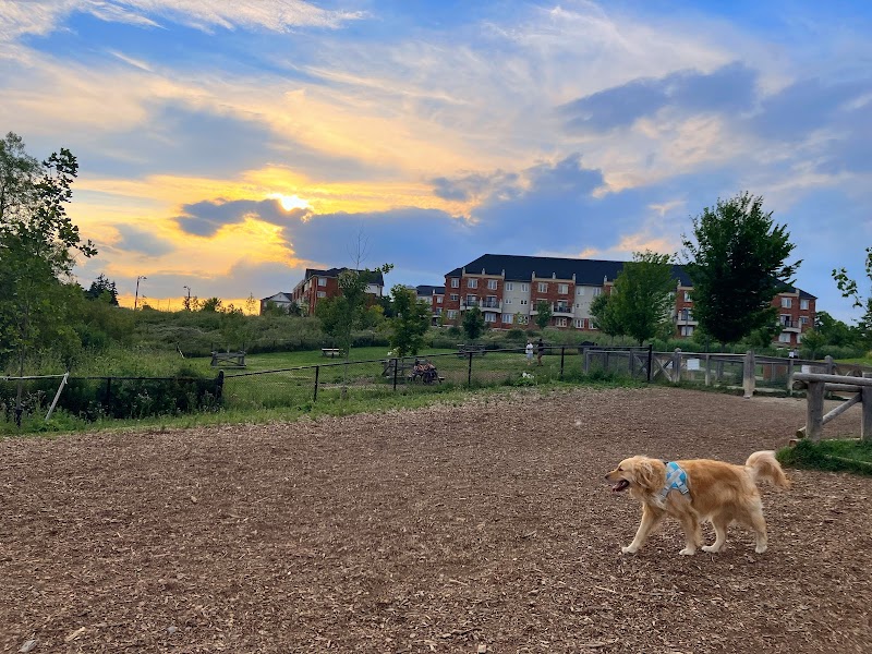 Oak Park Dog Park dog park in Oakville, Ontario