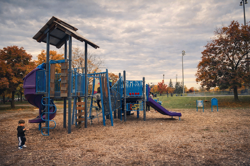 Leash Free Zone dog park in Mississauga, Ontario