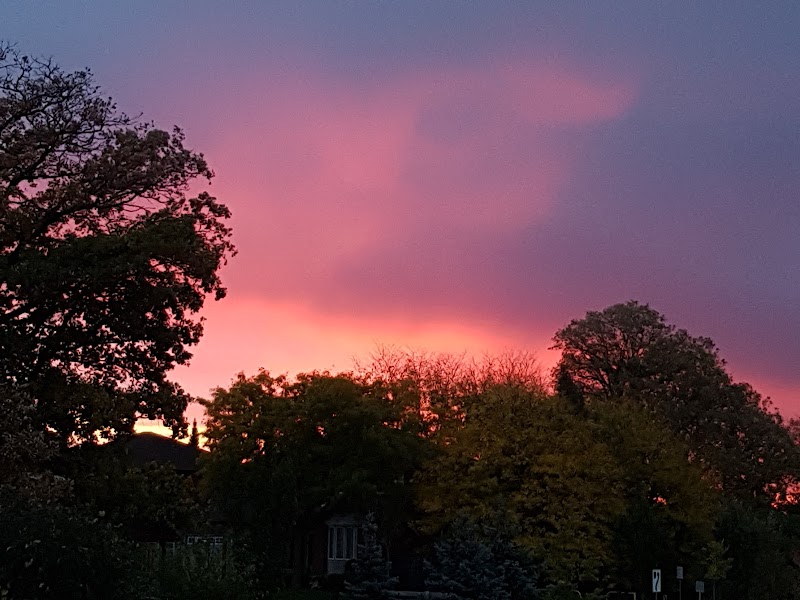 Dog Park dog park in Oakville, Ontario