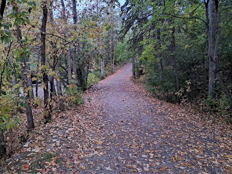 Mill Creek South dog park in Edmonton, Alberta
