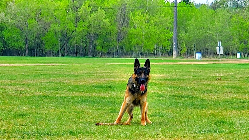 Fritz Field dog park in Edmonton, Alberta