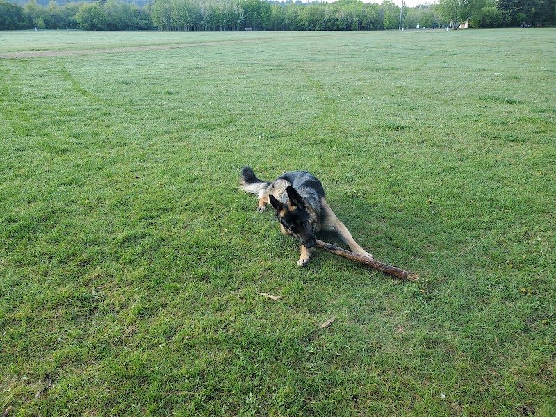 Fritz Field dog park in Edmonton, Alberta