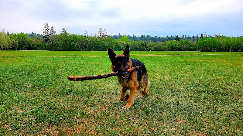 Fritz Field dog park in Edmonton, Alberta