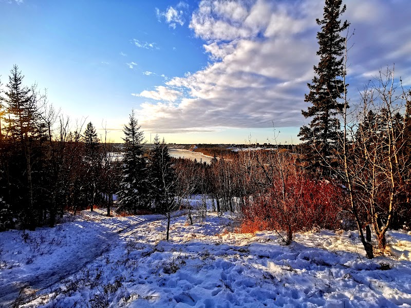 Belgravia Off Leash Site dog park in Edmonton, Alberta