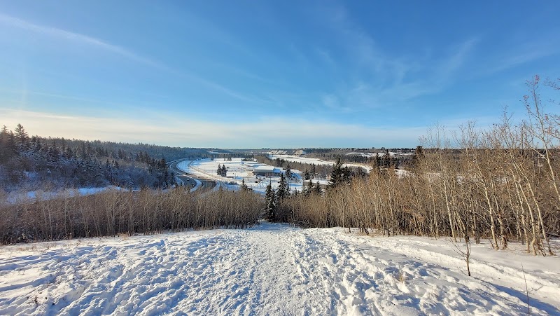 Belgravia Off Leash Site dog park in Edmonton, Alberta