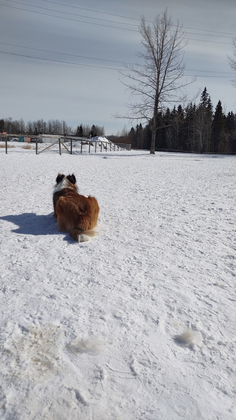 ARC Bark Park-Off Leash Dog Park dog park in Drayton Valley, Alberta