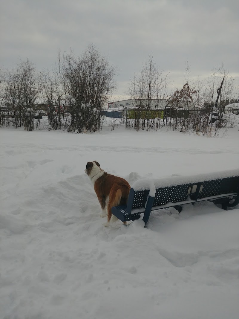 ARC Bark Park-Off Leash Dog Park dog park in Drayton Valley, Alberta