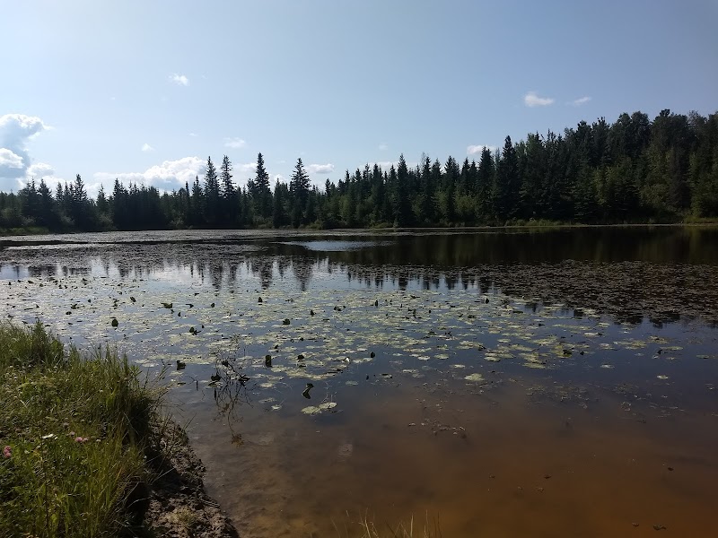 Dog Park dog park in Edson, Alberta