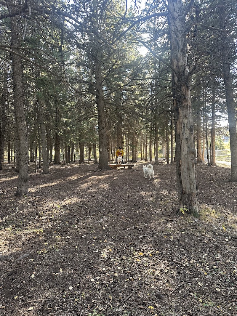 Hinton Dog Park dog park in Hinton, Alberta