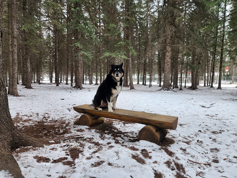 Hinton Dog Park dog park in Hinton, Alberta