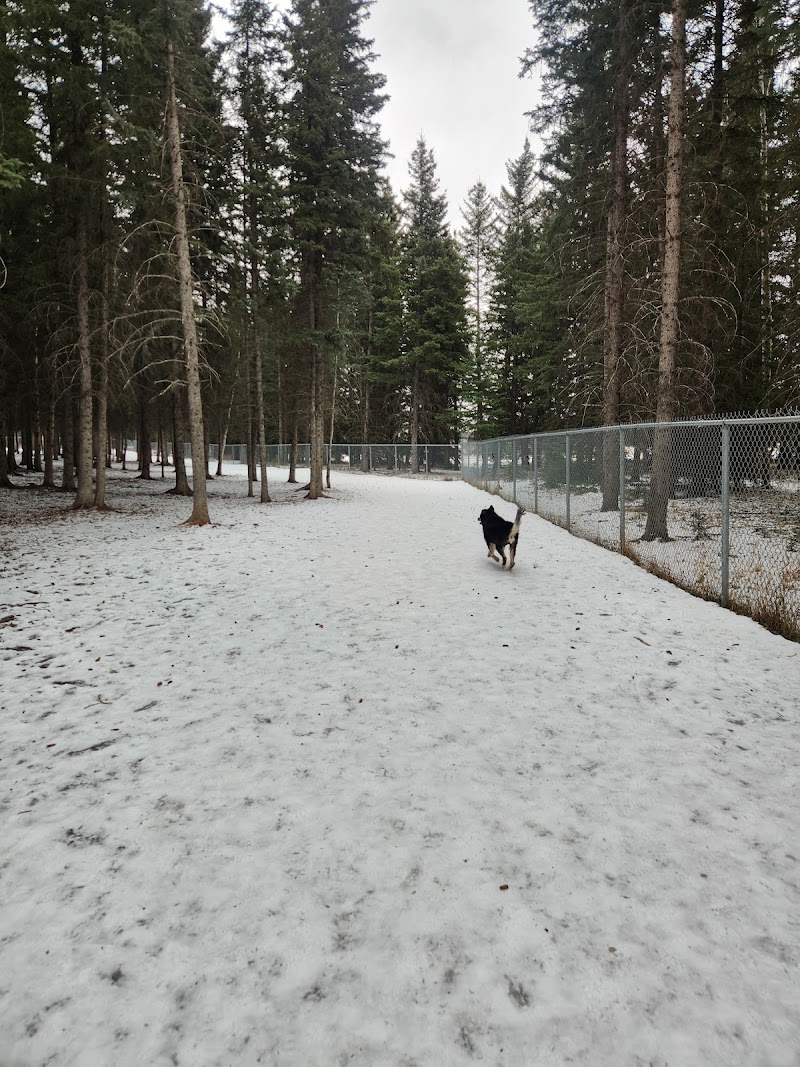 Hinton Dog Park dog park in Hinton, Alberta