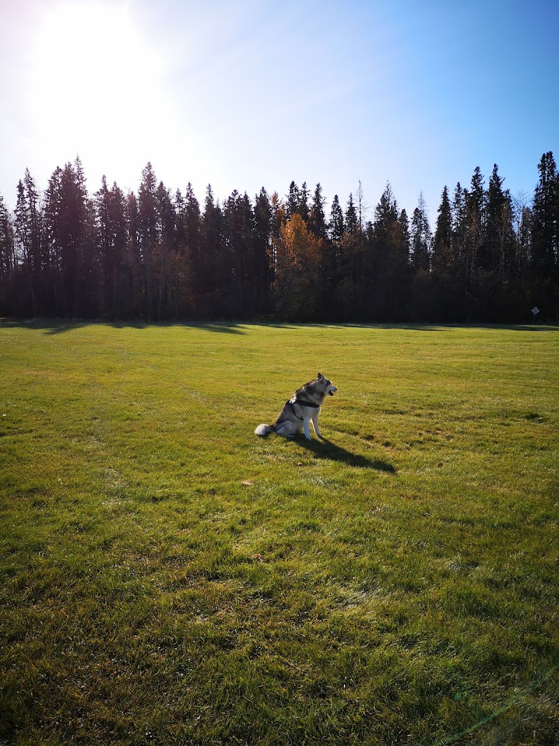 Marlboro Off-leash Park dog park in Spruce Grove, Alberta