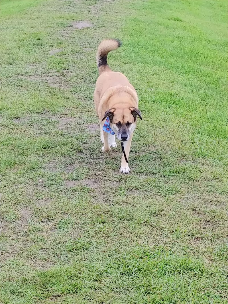Marlboro Off-leash Park dog park in Spruce Grove, Alberta
