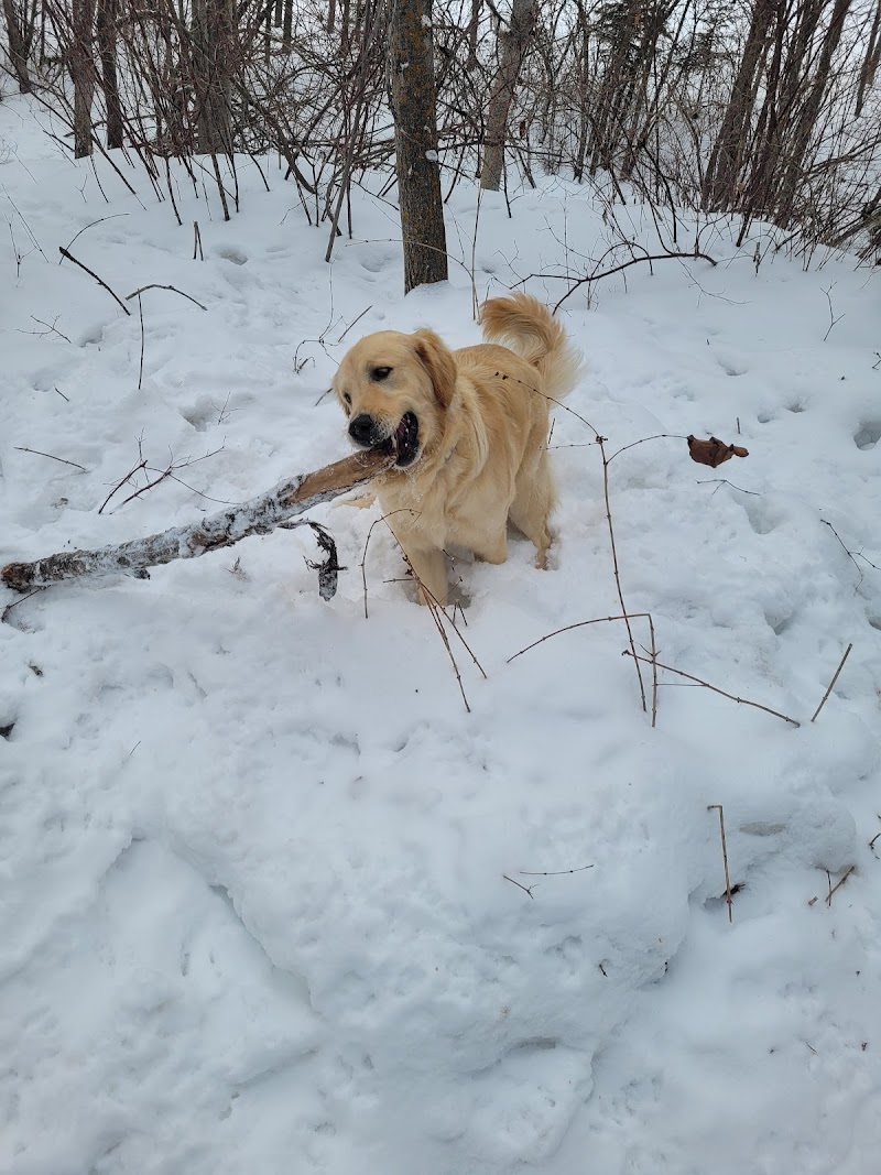 Marlboro Off-leash Park dog park in Spruce Grove, Alberta