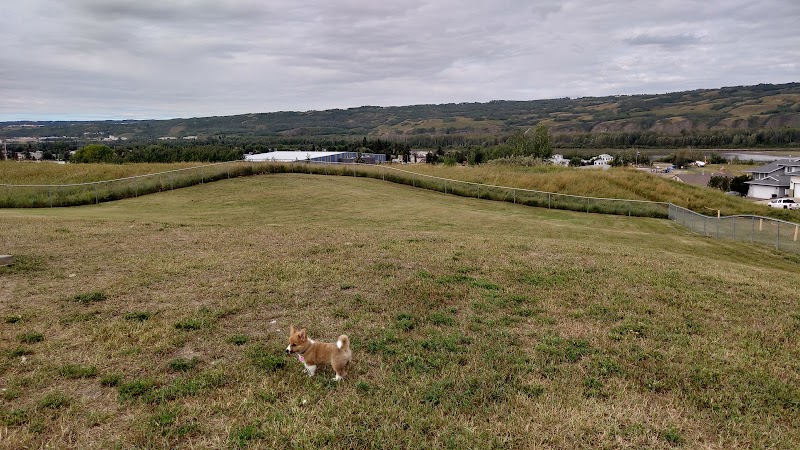 Off-leash Dog Park dog park in Peace River, Alberta