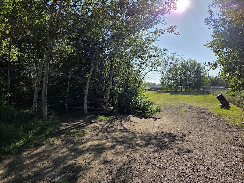 South bear creek offleash dog park dog park in Grande Prairie, Alberta