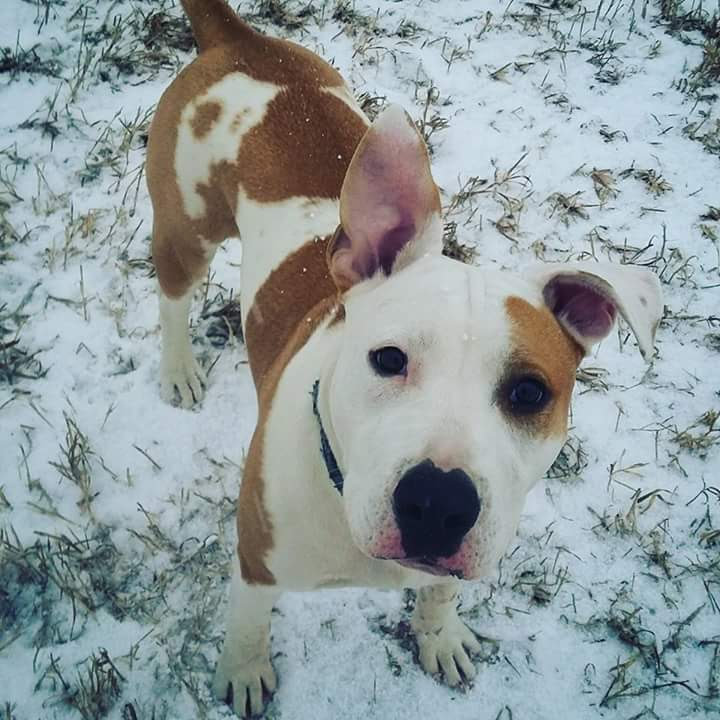 Dog Off Leash Area dog park in Minburn County No. 27, Alberta